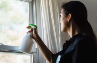 Can You Clean Window Film With Windex?